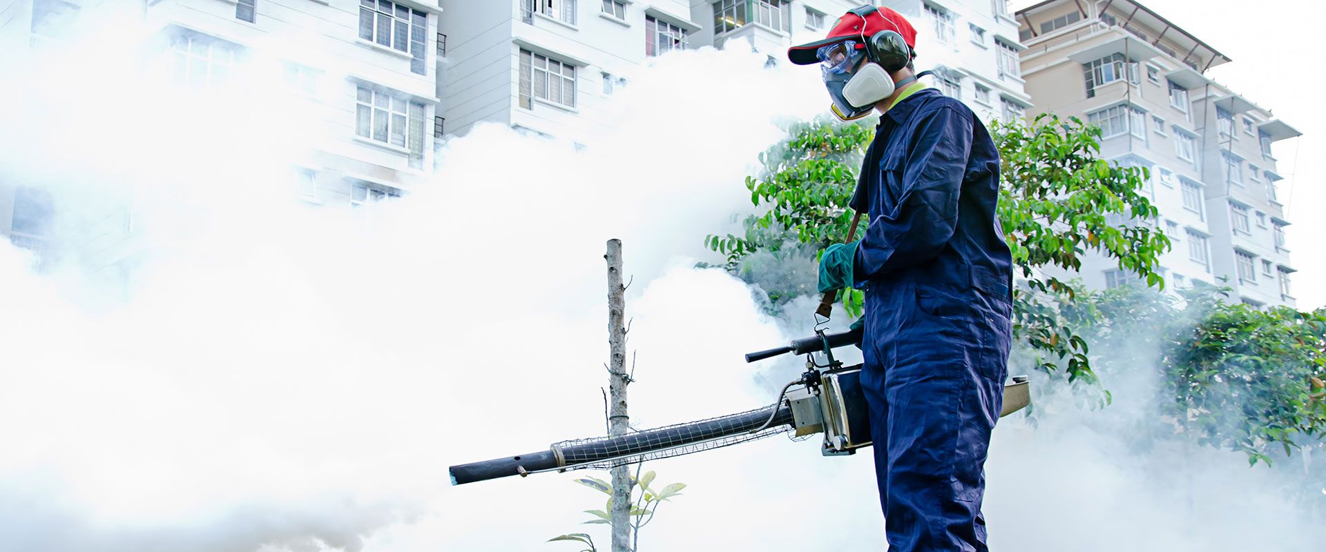 İstanbul Paşam Böcek İlaçlama